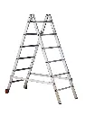 Lion_10.webp